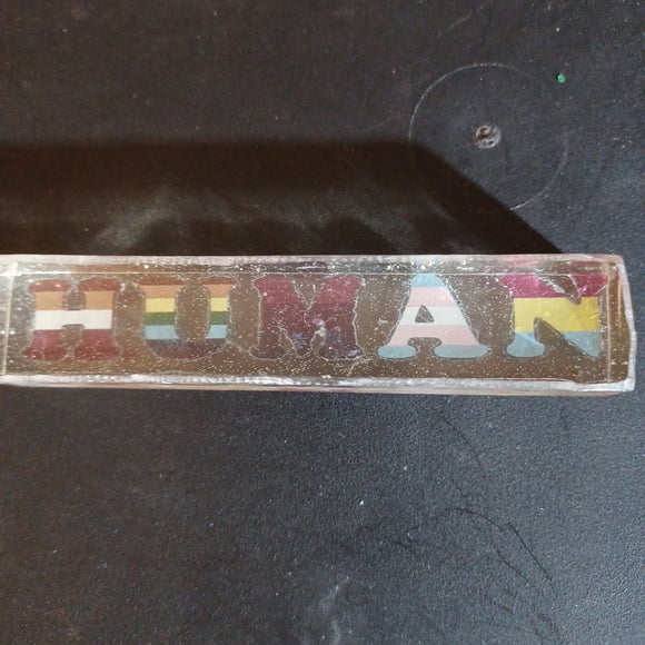 Human diversity paperweight